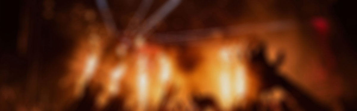 每日更新，手机端用chrome浏览器